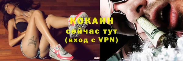 дживик Алексин