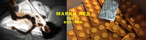 мяу мяу мука Алексеевка