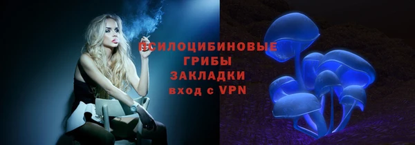 сатива Вяземский