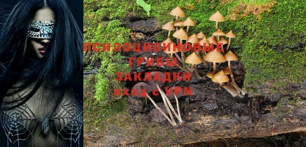 марки nbome Алзамай