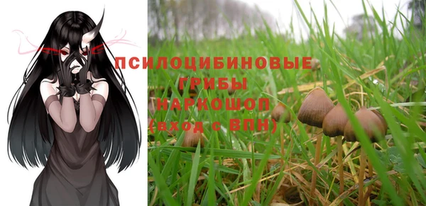 дживик Алексин