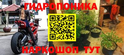 mix Новодвинск