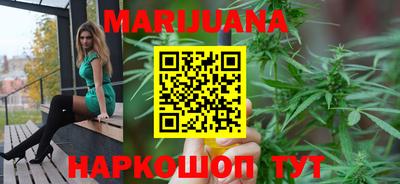 прущие крисы Новозыбков