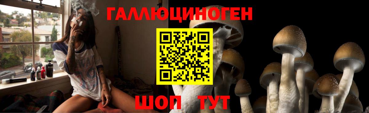Псилоцибиновые грибы Psilocybine cubensis  Вход с VPN  Находка 